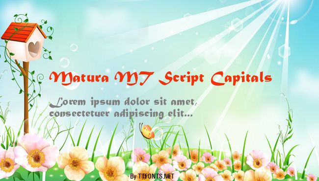 Matura MT Script Capitals example